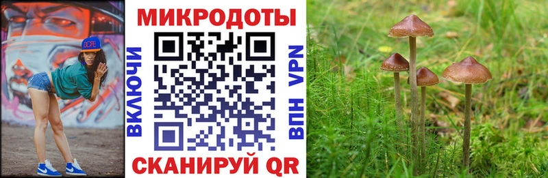 Купить где  Чулым  Псилоцибиновые грибы Cubensis 