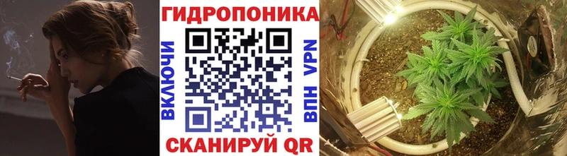 Купить закладки  Чулым  Бошки марихуана VHQ 